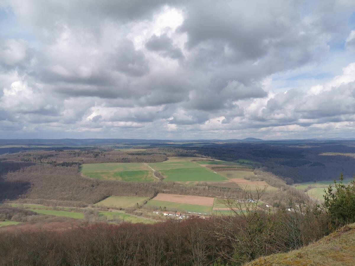 Appartamento Reitstation Rossmuehle Gräfendorf Esterno foto