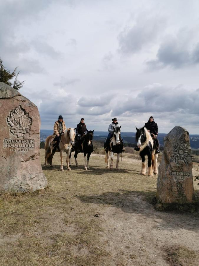 Appartamento Reitstation Rossmuehle Gräfendorf Esterno foto